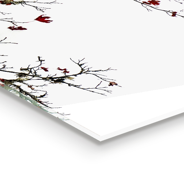 Stenska plošča za kuhinjo Pokrajina brezskrbnost