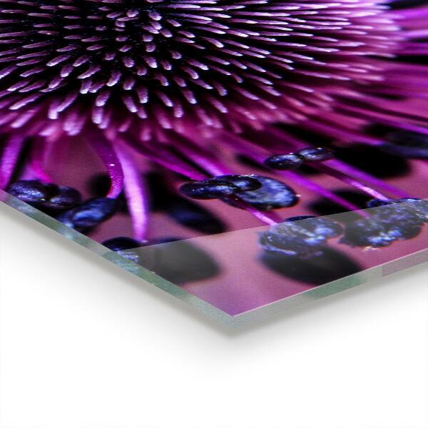 Zidna obloga za kuhinju Vijolična roža