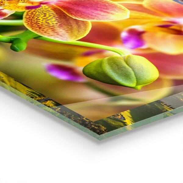 Zidna obloga za kuhinju Oranžna orhideja