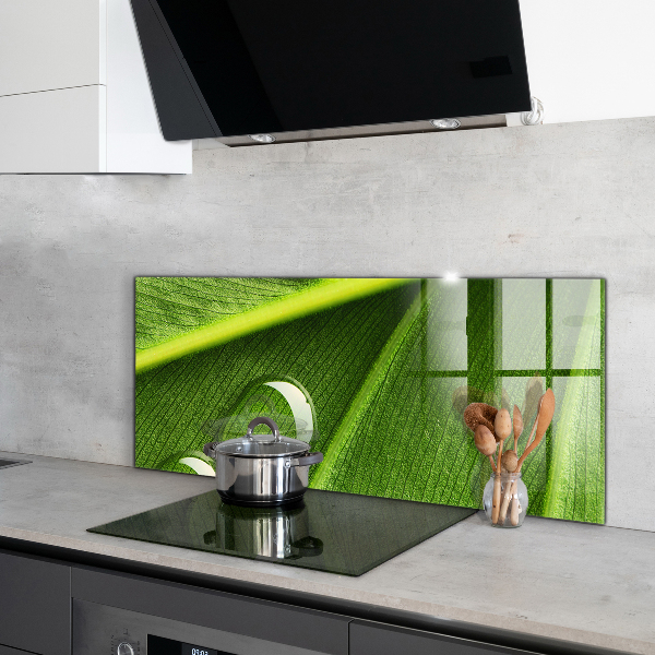 Zidna obloga za kuhinju Kaplja rose na listu