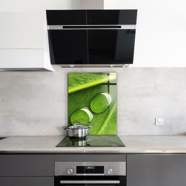 Zidna obloga za kuhinju Kaplja rose na listu