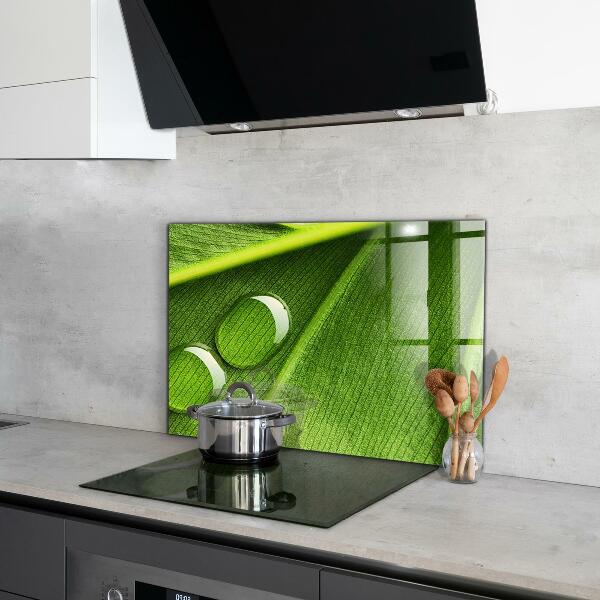 Zidna obloga za kuhinju Kaplja rose na listu