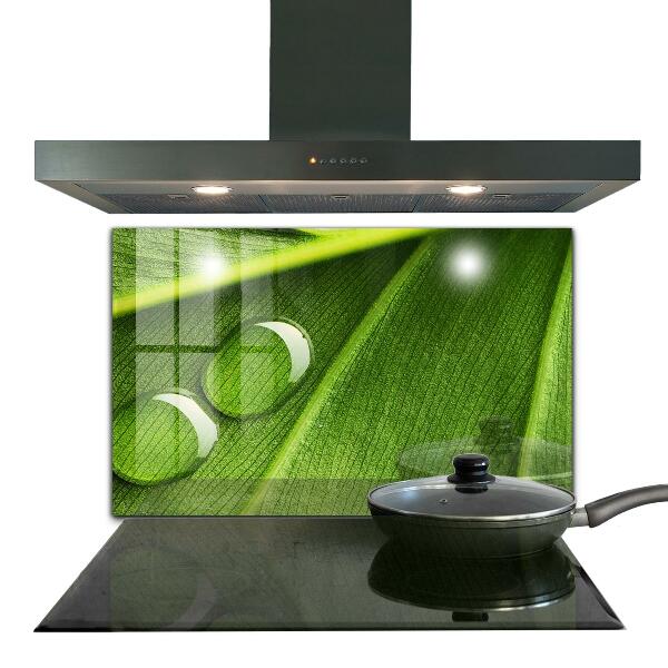 Zidna obloga za kuhinju Kaplja rose na listu