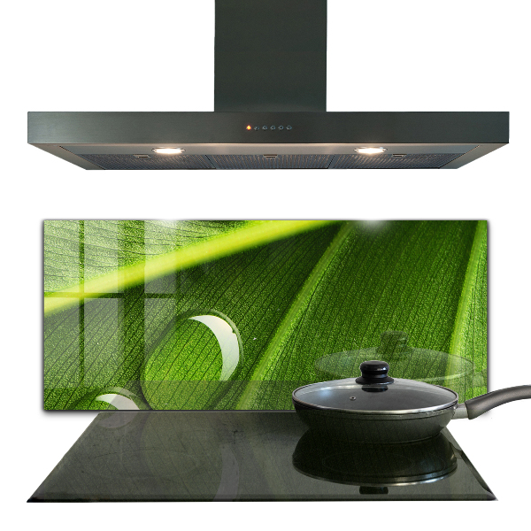 Zidna obloga za kuhinju Kaplja rose na listu