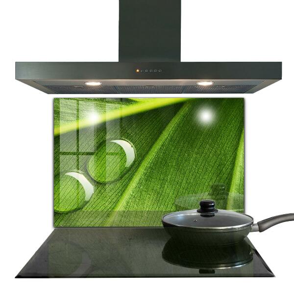 Zidna obloga za kuhinju Kaplja rose na listu