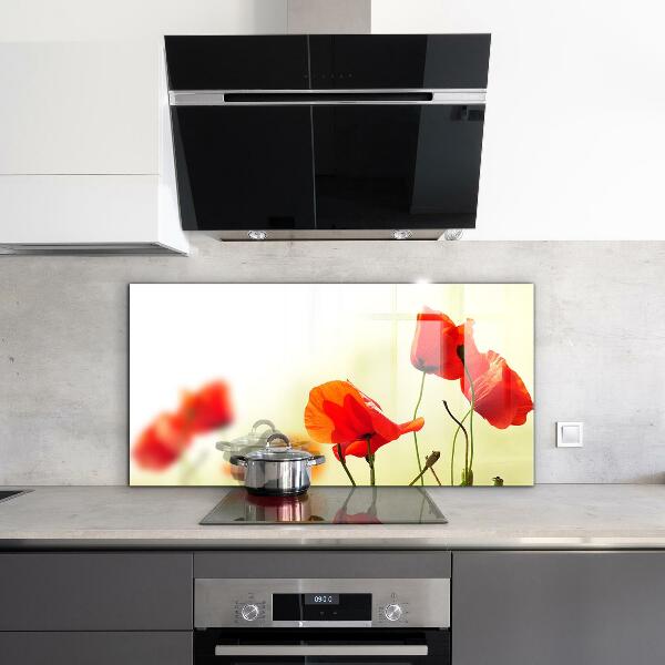 Zidna obloga za kuhinju Travnik z rdečimi makovi