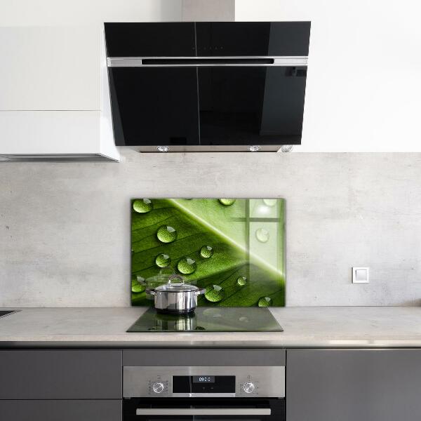 Zidna obloga za kuhinju List s kapljicami jutranje rose