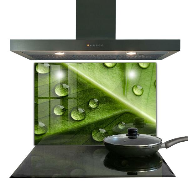 Zidna obloga za kuhinju List s kapljicami jutranje rose