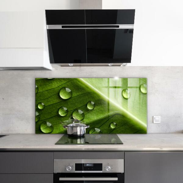 Zidna obloga za kuhinju List s kapljicami jutranje rose