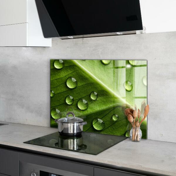 Zidna obloga za kuhinju List s kapljicami jutranje rose