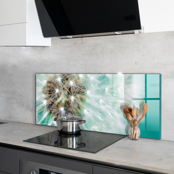 Zidna obloga za kuhinju Regrat v vetrnici