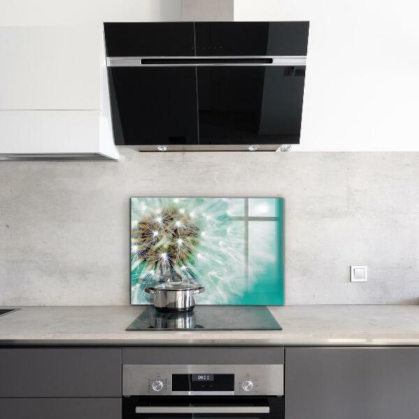 Zidna obloga za kuhinju Regrat v vetrnici