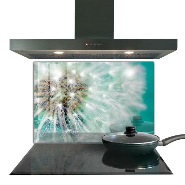 Zidna obloga za kuhinju Regrat v vetrnici