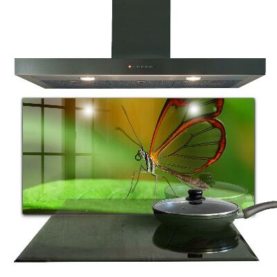 Stenska plošča za kuhinjo Metulj na listu