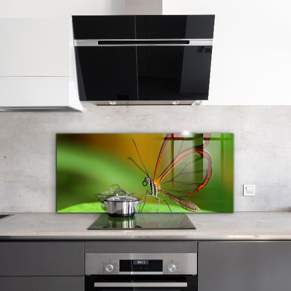 Stenska plošča za kuhinjo Metulj na listu