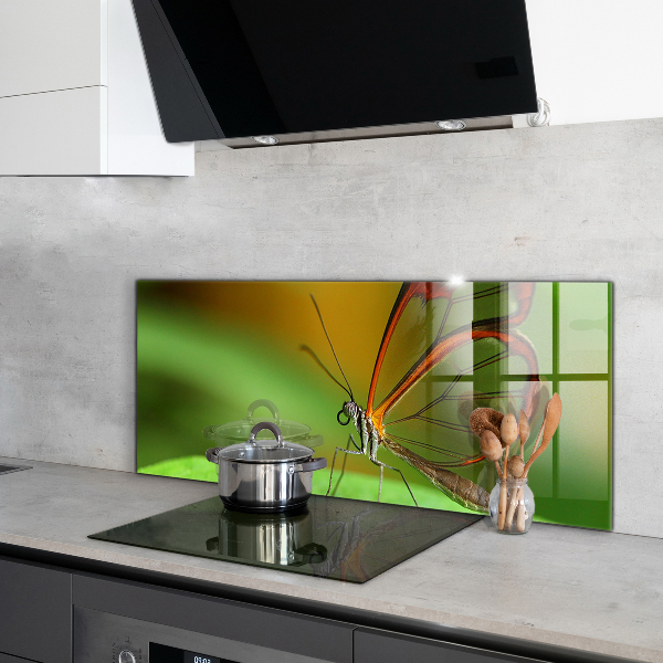 Stenska plošča za kuhinjo Metulj na listu