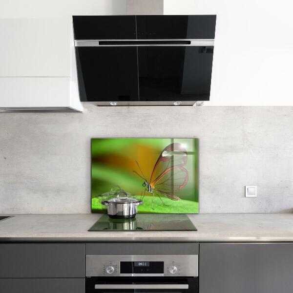 Stenska plošča za kuhinjo Metulj na listu