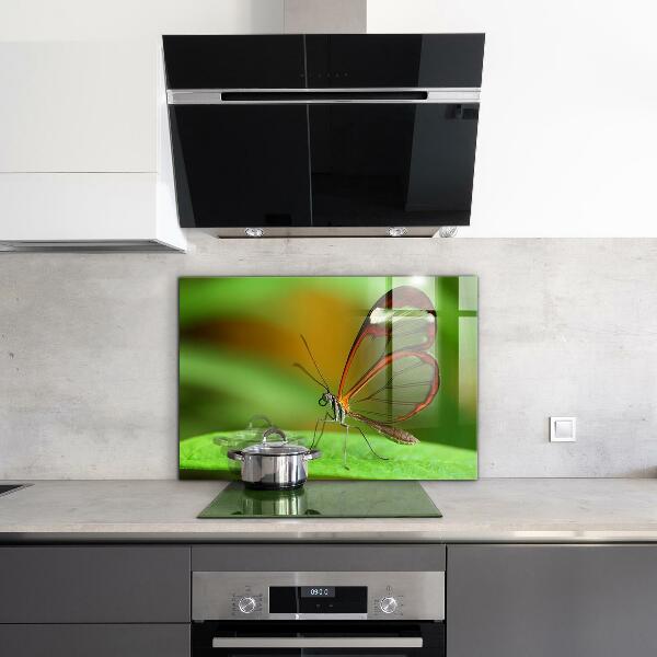 Stenska plošča za kuhinjo Metulj na listu