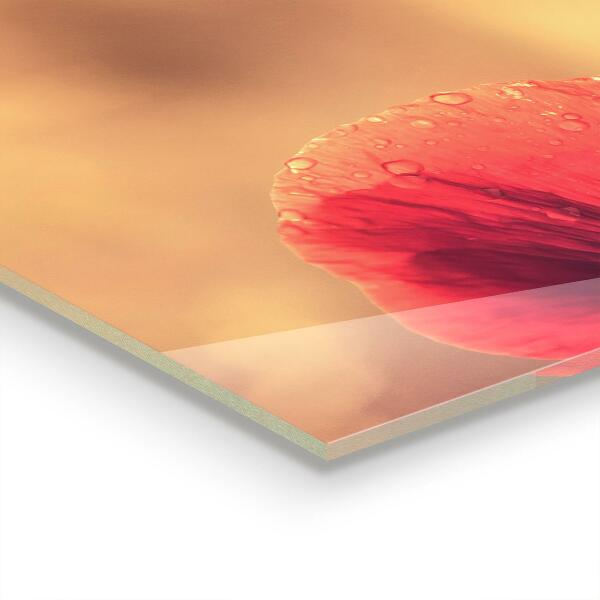 Zidna obloga za kuhinju Vintage mak