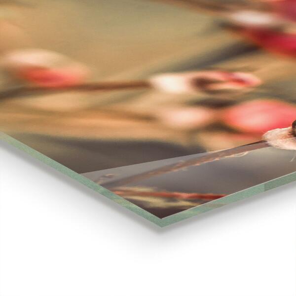 Zidna obloga za kuhinju Divja vrtnica v parku