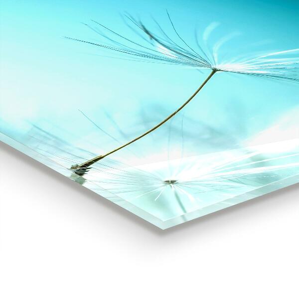 Zidna obloga za kuhinju Regrat regrat v vetru