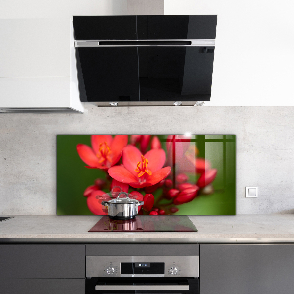 Zidna obloga za kuhinju Cvetoči cvetni popki