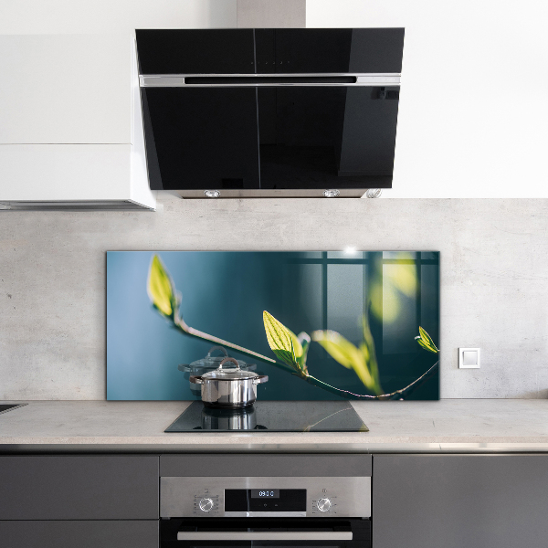 Zidna obloga za kuhinju Svetleč list na veji