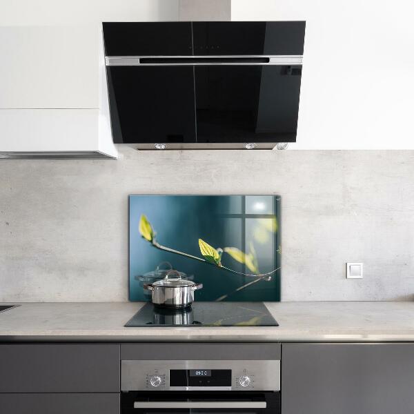 Zidna obloga za kuhinju Svetleč list na veji