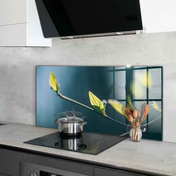 Zidna obloga za kuhinju Svetleč list na veji