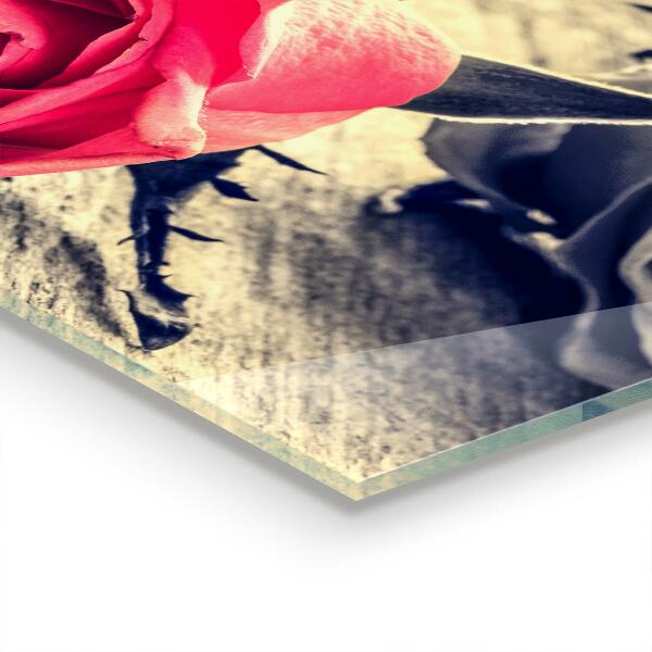 Zidna obloga za kuhinju Rose simbol ljubezni