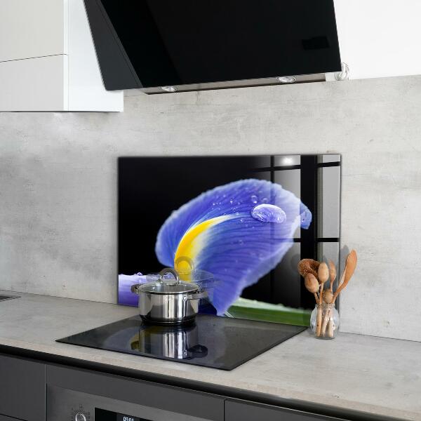 Zidna obloga za kuhinju Vijolični cvet perunike