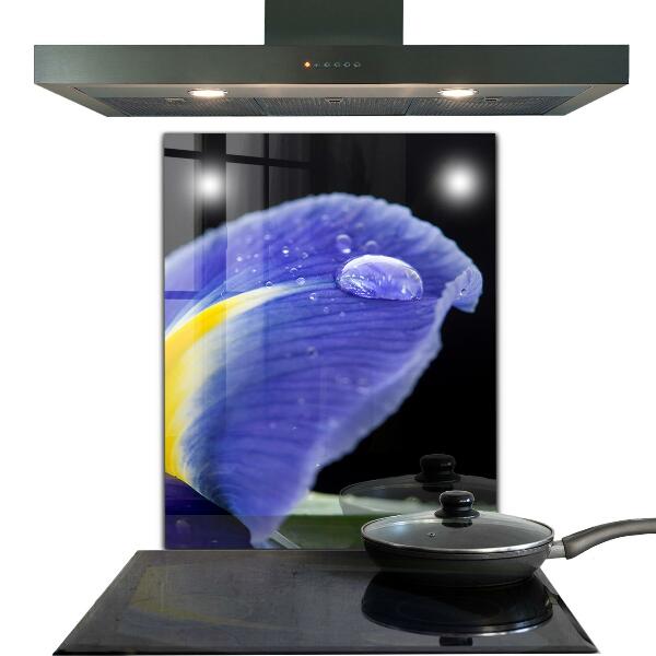 Zidna obloga za kuhinju Vijolični cvet perunike