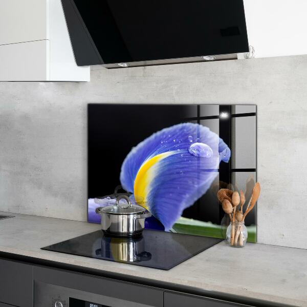 Zidna obloga za kuhinju Vijolični cvet perunike