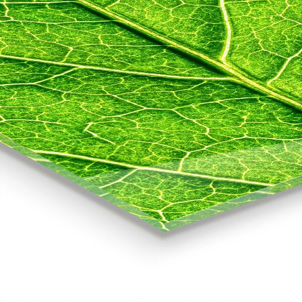 Zidna obloga za kuhinju Nežni detajli listov