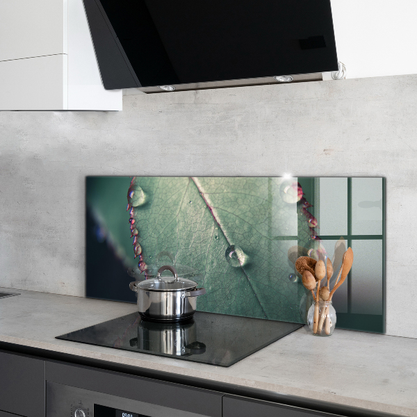 Zidna obloga za kuhinju List s kapljico rose