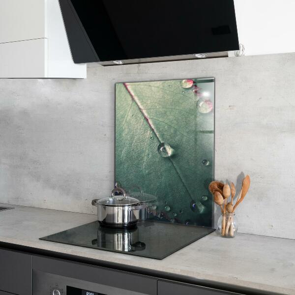 Zidna obloga za kuhinju List s kapljico rose