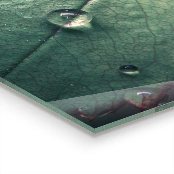 Zidna obloga za kuhinju List s kapljico rose