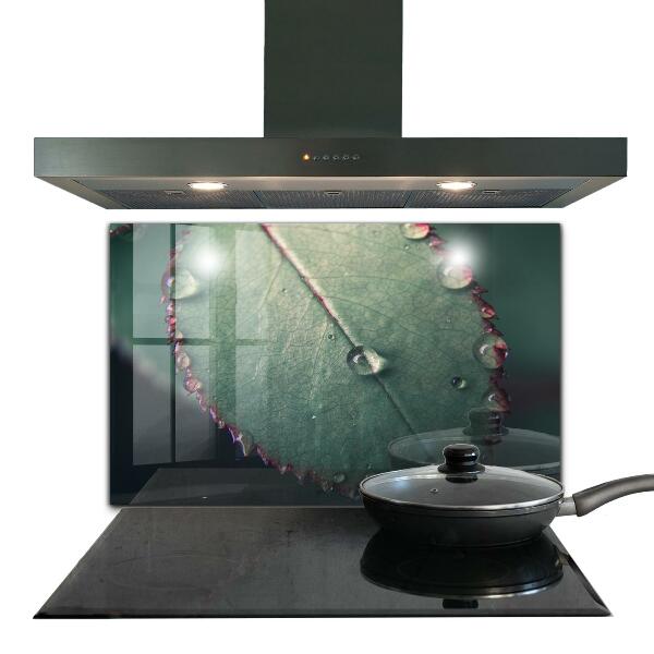 Zidna obloga za kuhinju List s kapljico rose