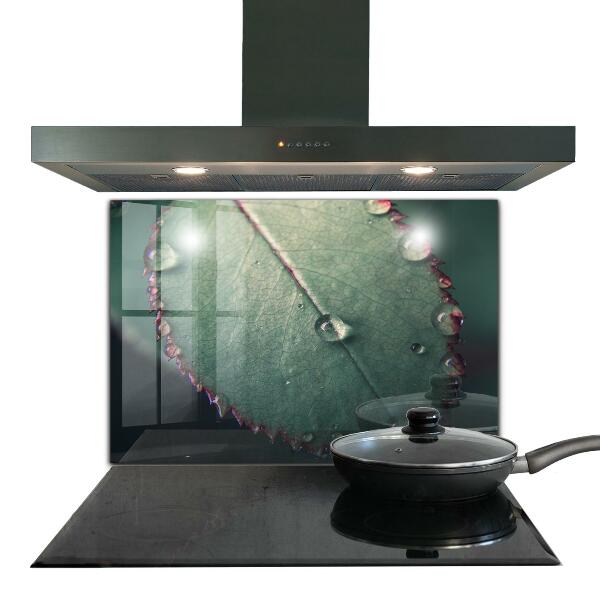 Zidna obloga za kuhinju List s kapljico rose