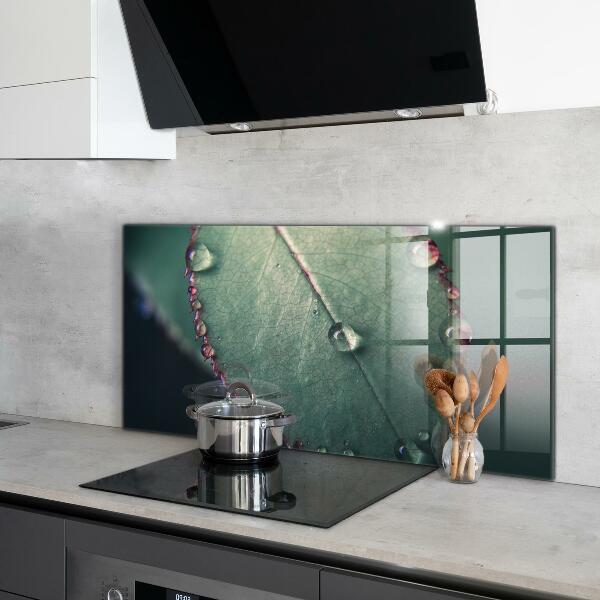 Zidna obloga za kuhinju List s kapljico rose