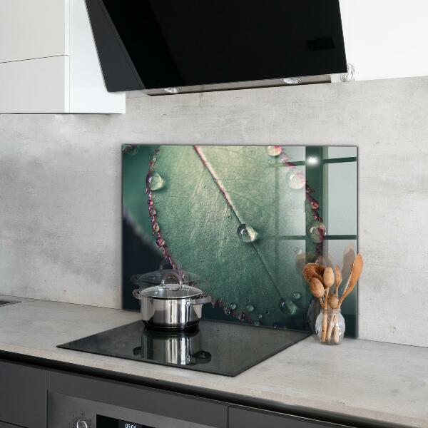 Zidna obloga za kuhinju List s kapljico rose