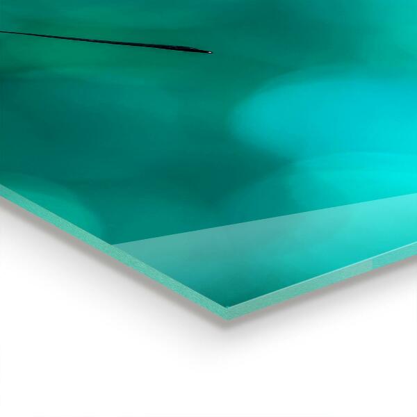 Stenska plošča za kuhinjo Čudovit metulj v naravi