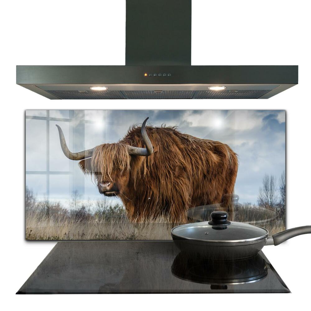 Stenska plošča za kuhinjo Highland boho krava