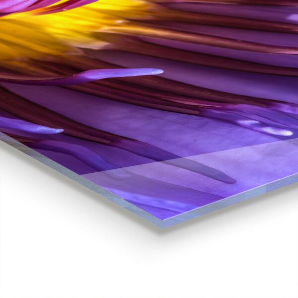 Zidna obloga za kuhinju Podrobnosti vijolične rože