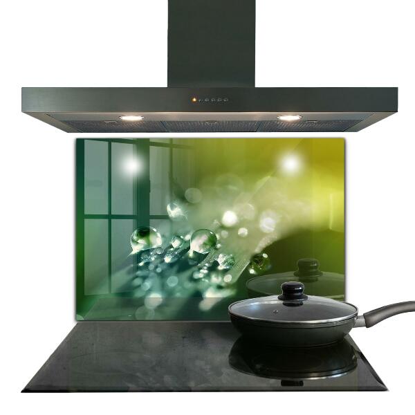 Zidna obloga za kuhinju Rosa na zelenih listih