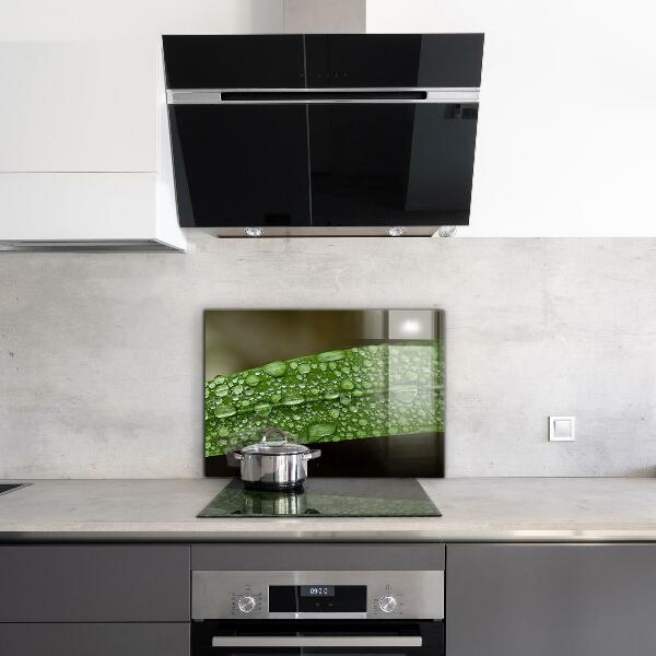 Zidna obloga za kuhinju Zeleni list po dežju