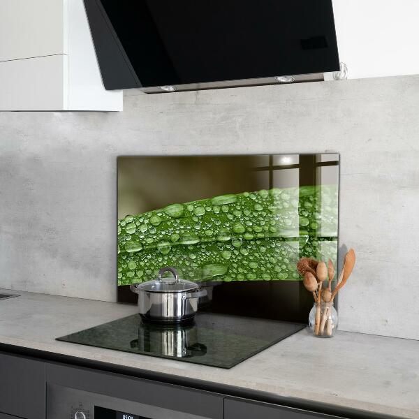 Zidna obloga za kuhinju Zeleni list po dežju