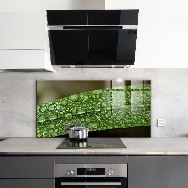 Zidna obloga za kuhinju Zeleni list po dežju