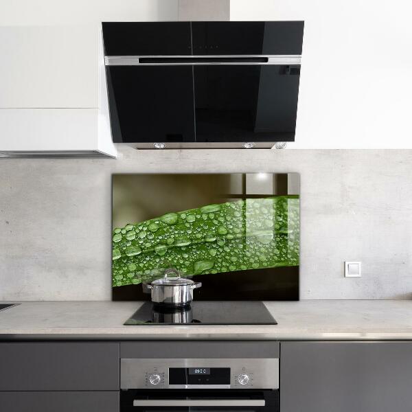 Zidna obloga za kuhinju Zeleni list po dežju