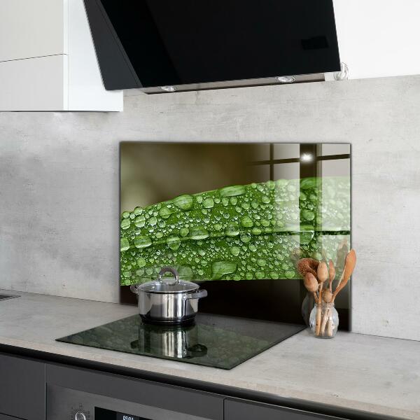 Zidna obloga za kuhinju Zeleni list po dežju